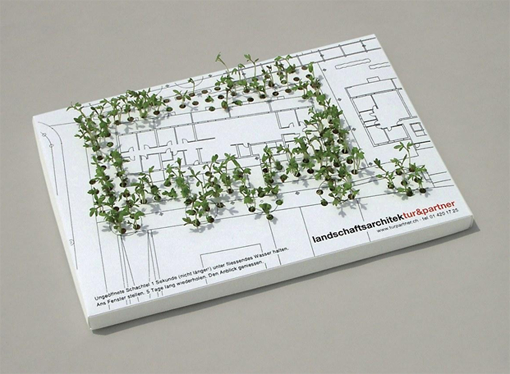 design design